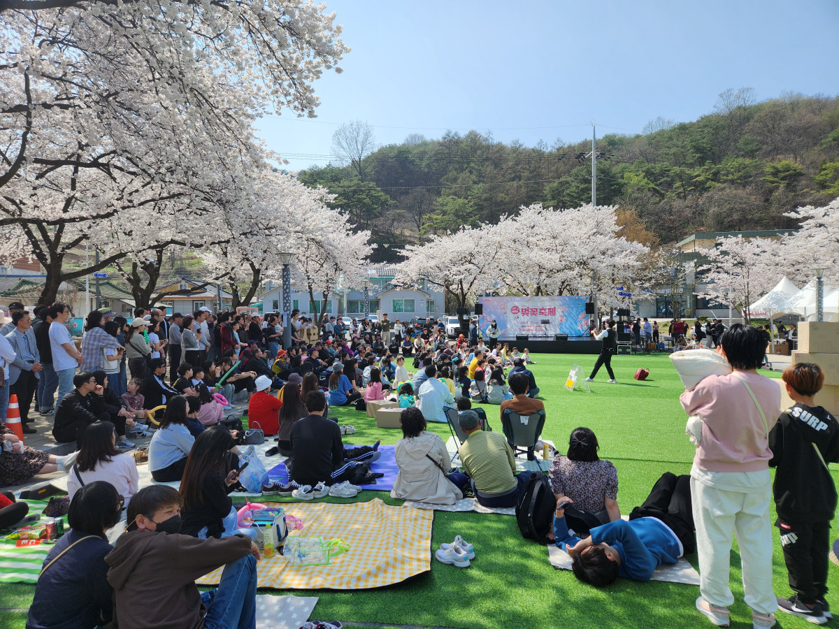 제천시, 제28회 청풍호 벚꽃축제 성료 이미지 2