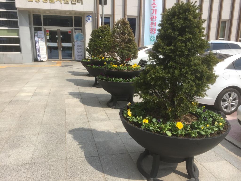용두동행정복지센터 앞 봄꽃모 식재 이미지 1